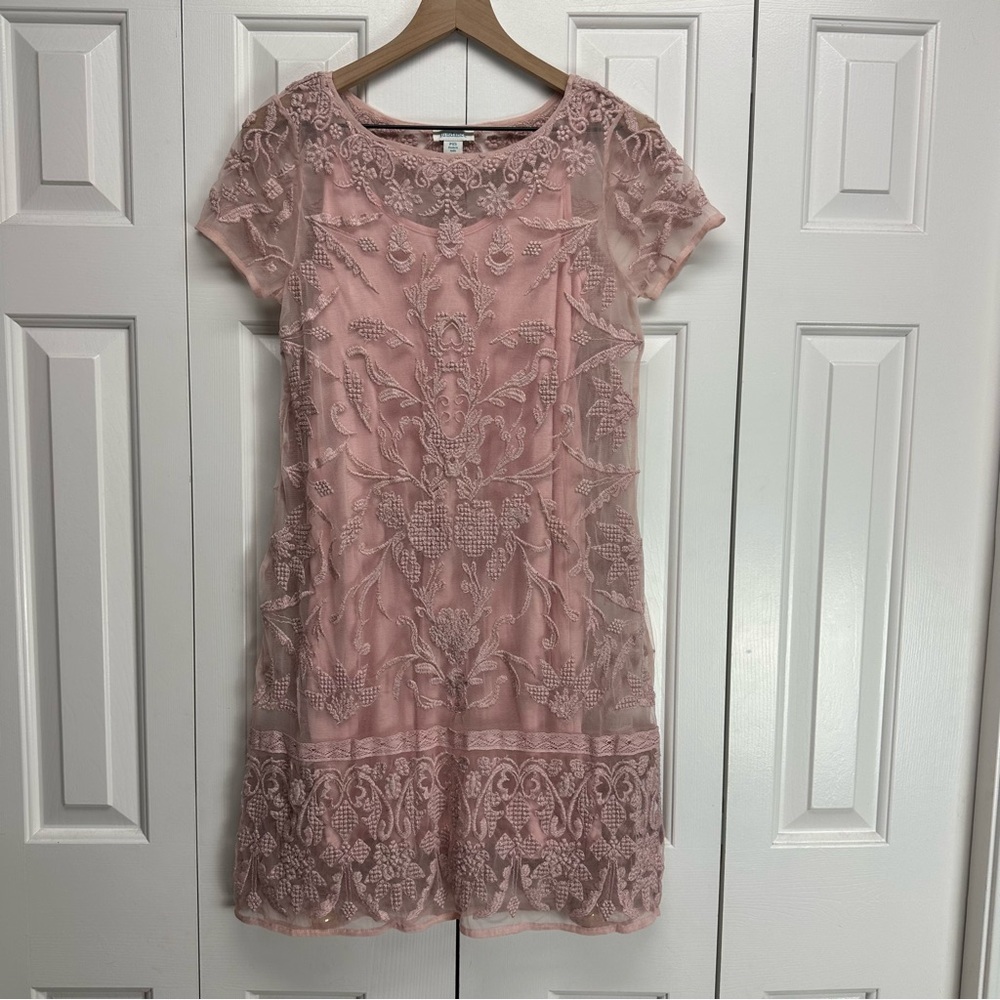 Sundance True Grace Pink Lace Dress Blush Pink Size PXS Coquette Feminine Soft - Picture 2 of 15